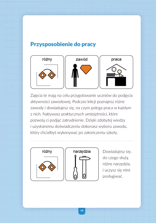 Praktyki wspomagane. Poradnik dla uczniów szkół przysposabiających do pracy - tantis.pl