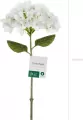 Hortensja biała 35cm - tantis.pl