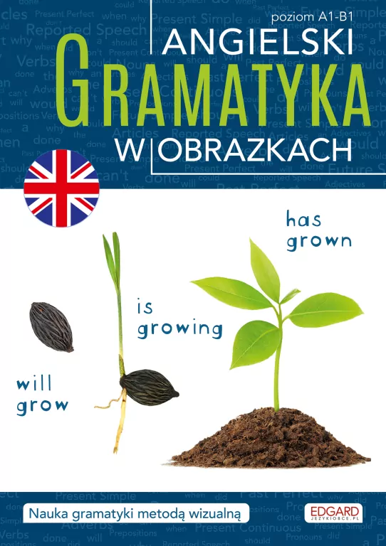 Angielski. Gramatyka w obrazkach - tantis.pl