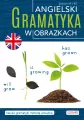 Angielski. Gramatyka w obrazkach - tantis.pl