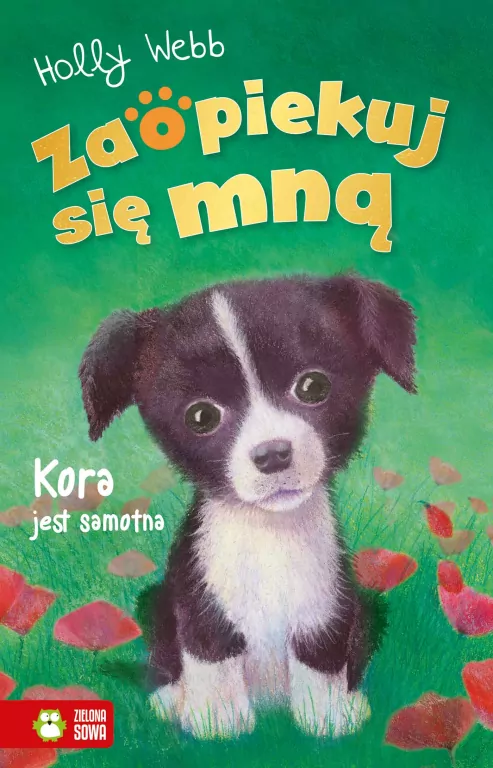 Kora jest samotna. Zaopiekuj się mną - tantis.pl