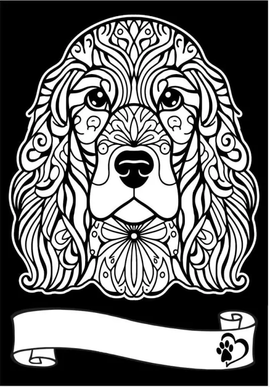 Kolorowanka welwetowa A4 Cocker Spaniel - tantis.pl