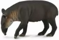 Tapir Bairda - tantis.pl