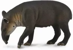 Tapir Bairda