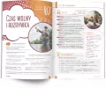 Hiszpański. Mów śmiało! Innowacyjny kurs konwersacji! Poziom A2-B2 - tantis.pl