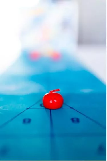Curling: gra planszowa - tantis.pl