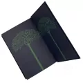 Wyzwolona moc - tantis.pl