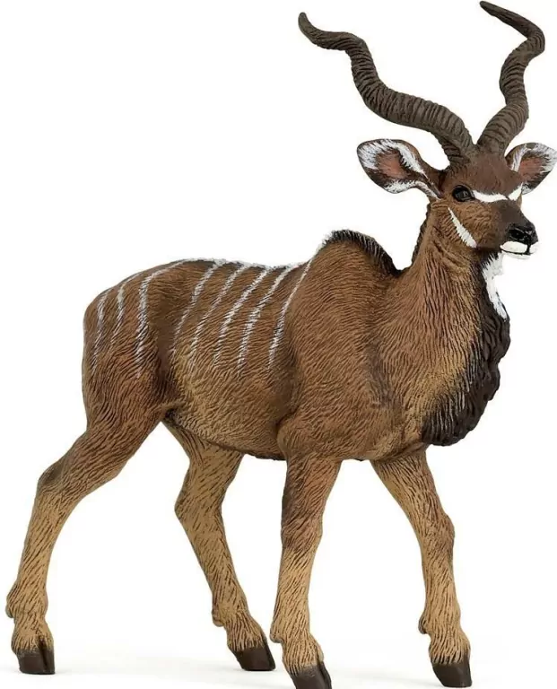 Antylopa kudu wielka - tantis.pl