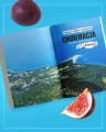 Chorwacja. Kamienie, morze i opowieści z Dalmacji - tantis.pl