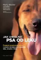 Jak uwolnić psa od lęku. Program pozytywnej pracy - tantis.pl