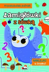 Łamigłówki z sówką. Przedszkolak potrafi - tantis.pl