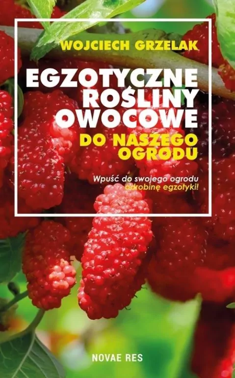 Egzotyczne rośliny owocowe do naszego ogrodu - tantis.pl