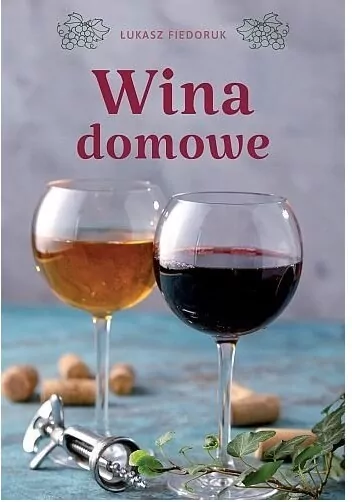 Wina domowe. 100 najlepszych przepisów - tantis.pl