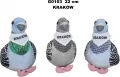 Gołąb "Kraków" 22cm MIX - tantis.pl