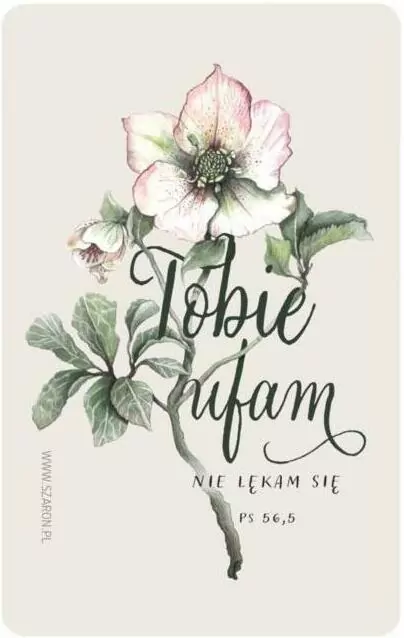 Magnes na lodówkę. Tobie ufam - tantis.pl