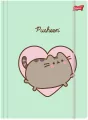 Teczka z gumką A4 Pusheen - tantis.pl