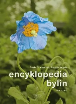 Encyklopedia bylin. Tom 2 (K-Z) - tantis.pl