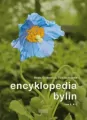 Encyklopedia bylin. Tom 2 (K-Z) - tantis.pl