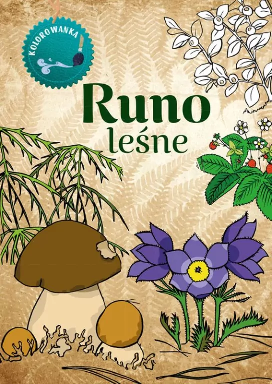 Kolorowanka. Runo Leśne - tantis.pl