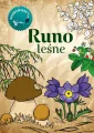 Kolorowanka. Runo Leśne - tantis.pl
