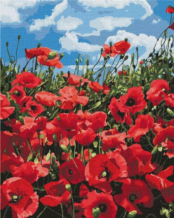 Malowanie po numerach: Niesamowite maki 40 x 50 cm - tantis.pl