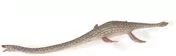 Elasmozaur - tantis.pl