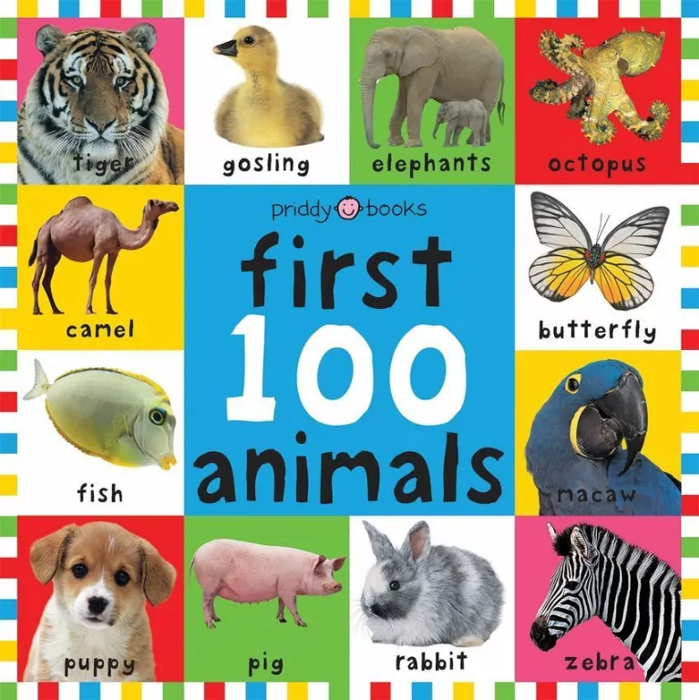 First 100 Animals - tantis.pl