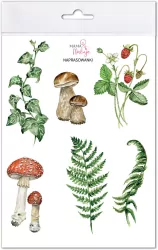 Naprasowanki Przyroda w lesie