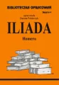 Iliada Homera. Biblioteczka opracowań. Zeszyt 4 - tantis.pl