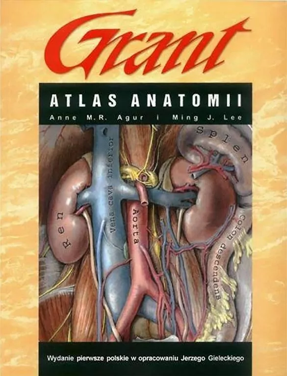 Atlas anatomii Grant - tantis.pl
