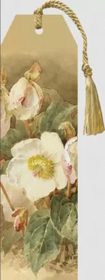 Zakładka ze wstążką. Ciemiernik biały