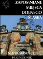 Zapomniane miejsca Dolnego Śląska. Nizina Śląska. Część 1 - tantis.pl