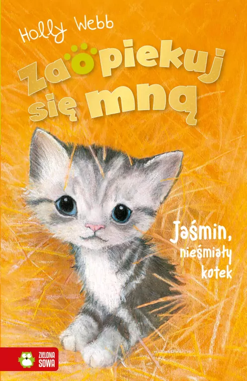 Jaśmin, nieśmiały kotek. Zaopiekuj się mną - tantis.pl