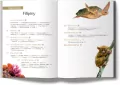 Filipiny - tantis.pl