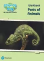 Science Bug: Parts of animals Workbook - tantis.pl