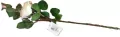 Róża piankowa 53cm - tantis.pl