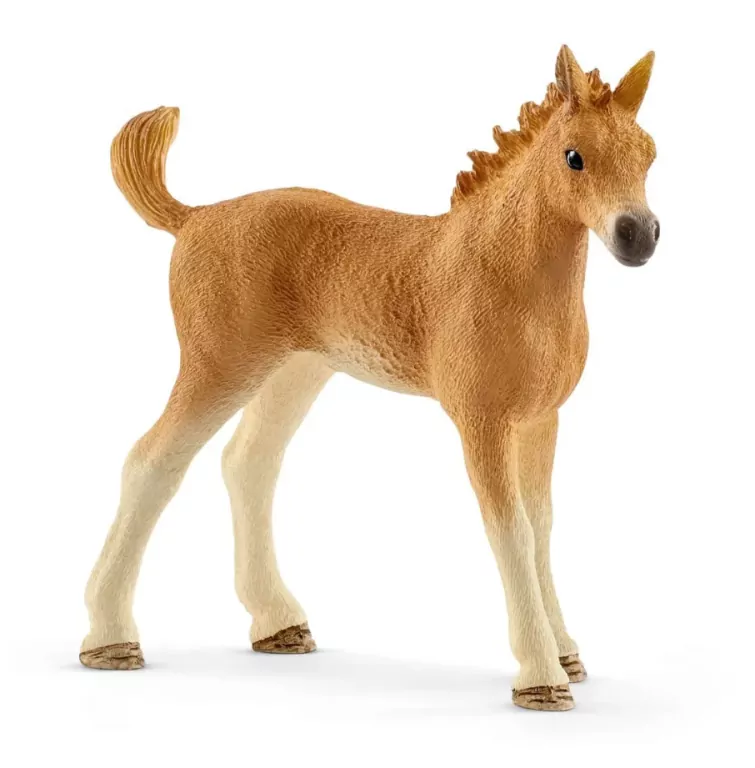 HORSE CLUB, zestaw Sarah do pielęgnacji młodych zwierząt 42432 - tantis.pl