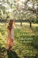 Zatańczmy w słońcu - tantis.pl