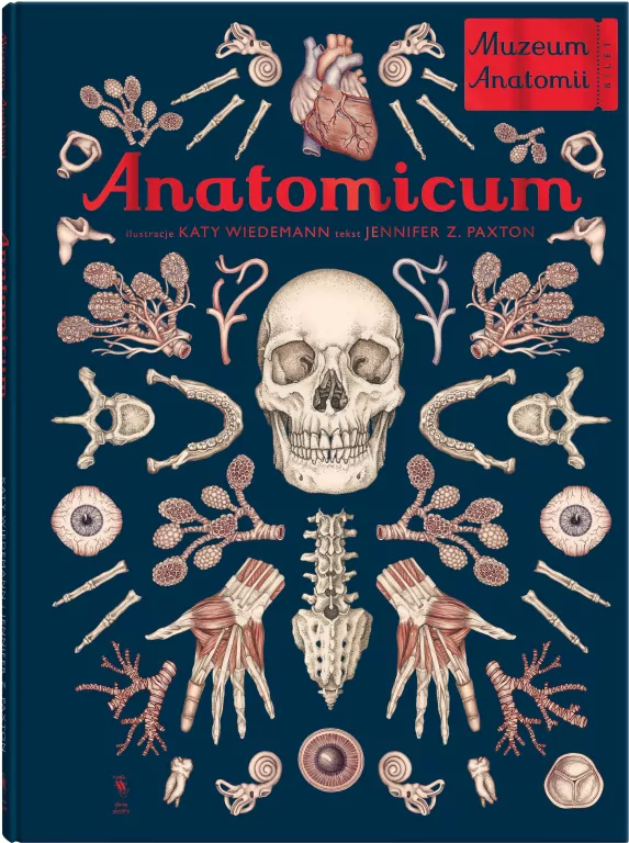 Anatomicum. Muzeum Anatomii. W Muzeum - tantis.pl