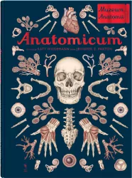 Anatomicum. Muzeum Anatomii. W Muzeum