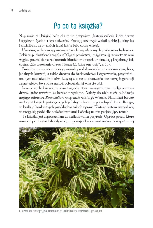 Jadalny las - tantis.pl