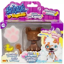 Brudaski w kąpieli piesek Boston biało-żółty