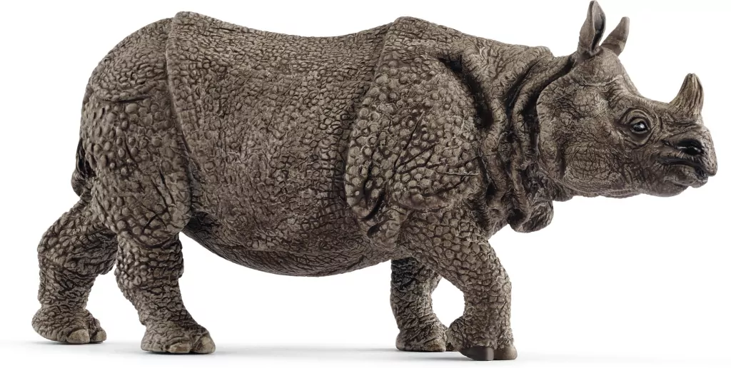 Nosorożec pancerny 14816 - tantis.pl
