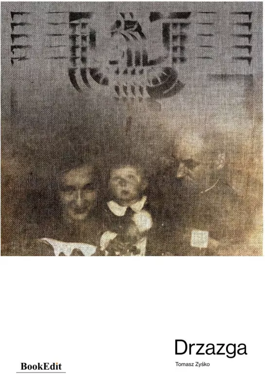 Drzazga - tantis.pl