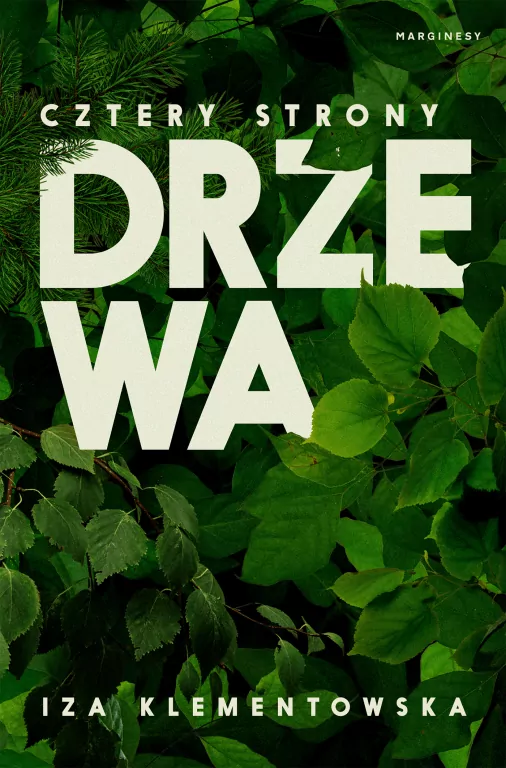 Cztery strony drzewa - tantis.pl