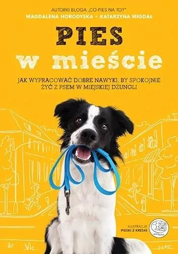 Pies w mieście - tantis.pl