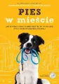 Pies w mieście - tantis.pl