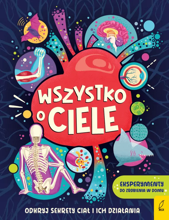 Wszystko o CIELE - tantis.pl