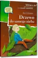 Drzewo do samego nieba - tantis.pl