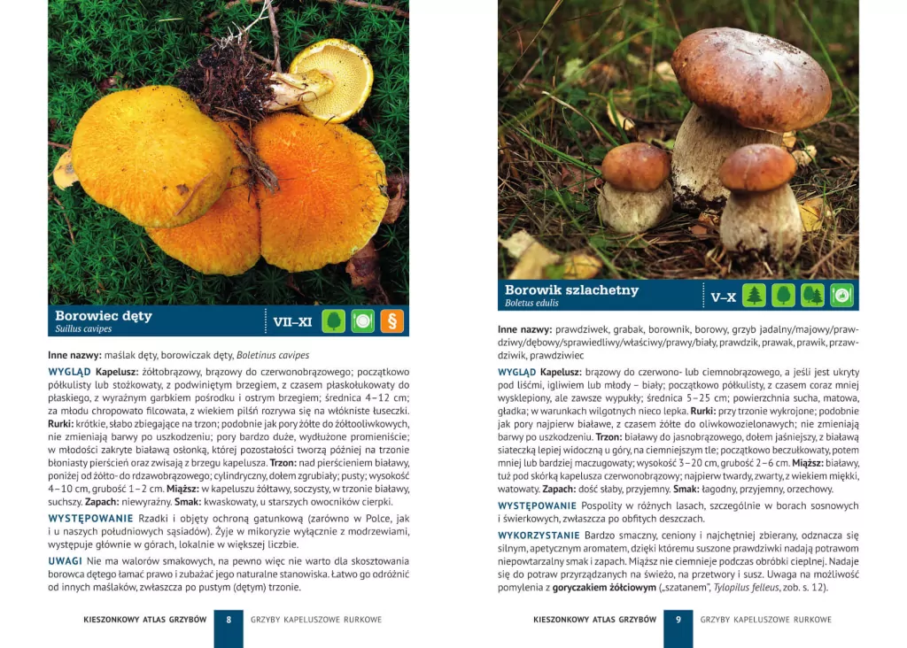 Kieszonkowy atlas grzybów - tantis.pl